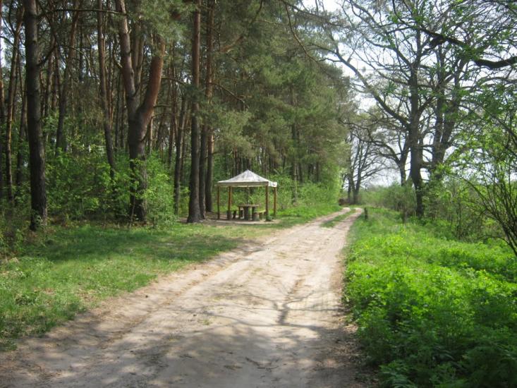 Комарів з panoramio.com - Komariv