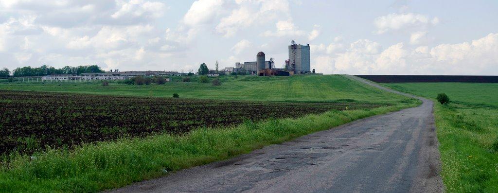 Біленьке з panoramio.com - Беленькое