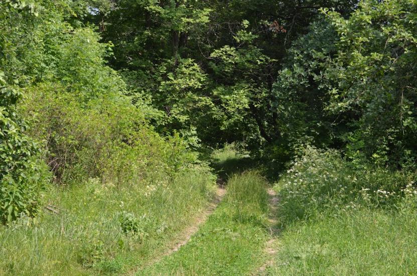 Дергачі з panoramio.com - Дергачи