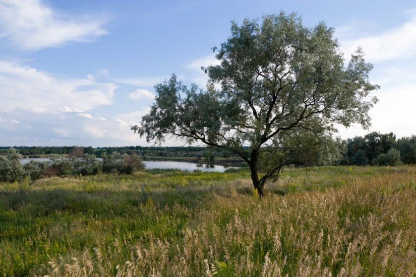 Красногорівка з panoramio.com - Красногоровка