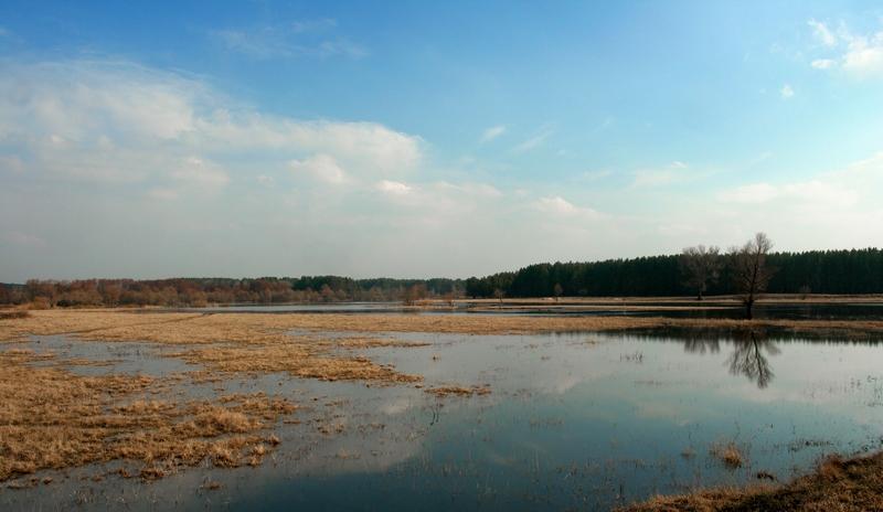 Південне з panoramio.com - Південне