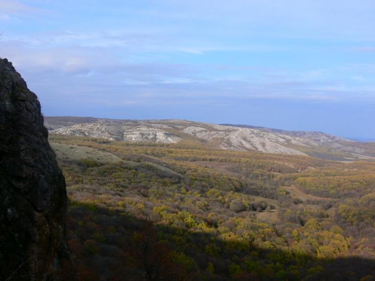Пчолине з panoramio.com - Пчелиное