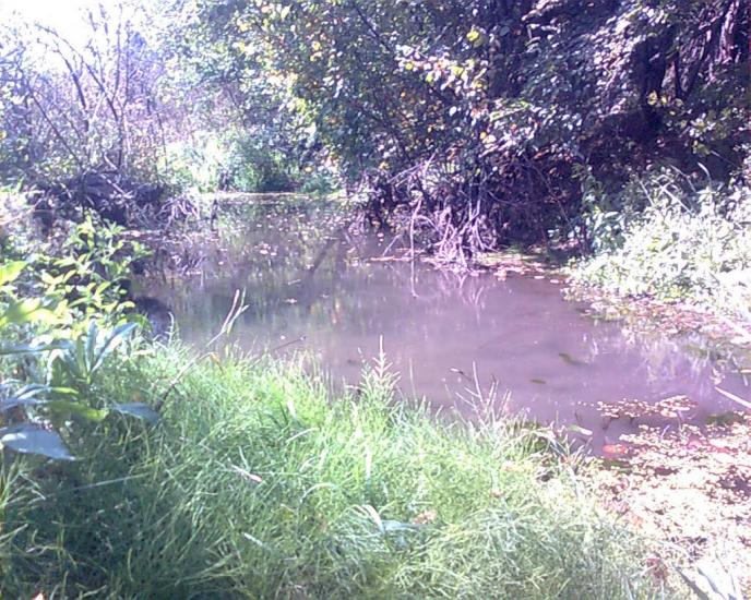 Бугаївка з panoramio.com - Бугаевка