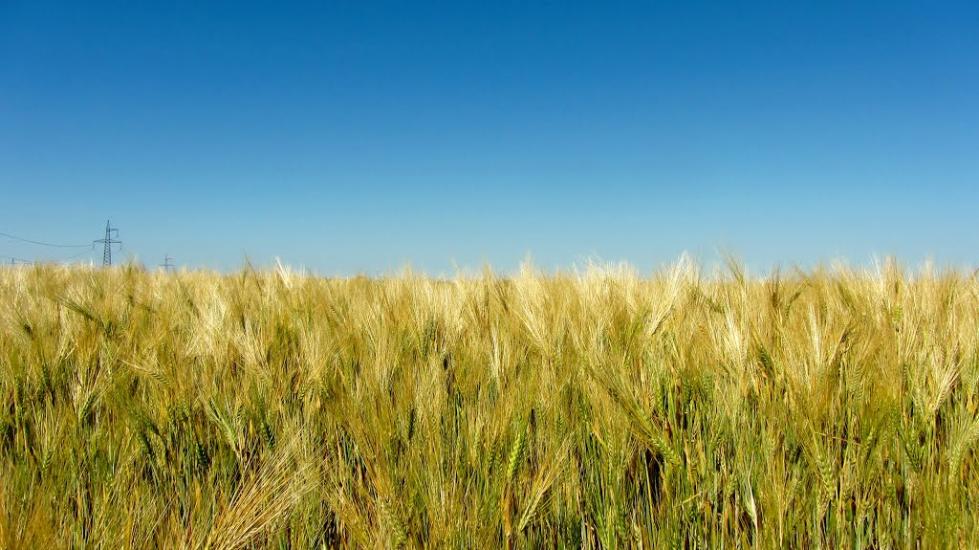 Володимирівка з panoramio.com - Володимирівка