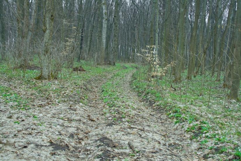 Теолин з panoramio.com - Теолин