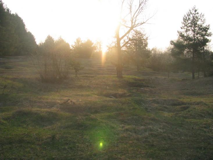 Кукарі з panoramio.com - Кукари