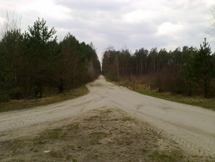 Хоровиця з panoramio.com - Хоровиця