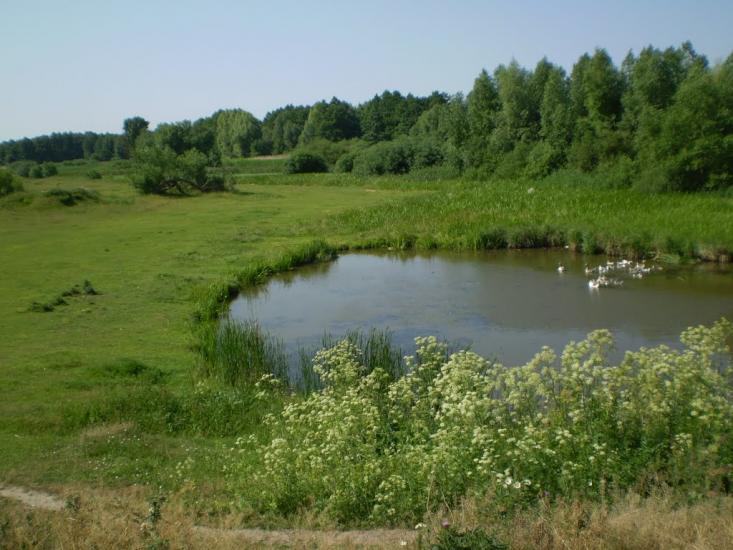 Самгородок з panoramio.com - Самгородок
