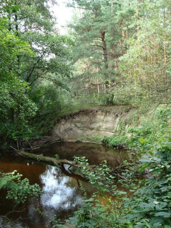 Хрипськ з panoramio.com - Хрипск