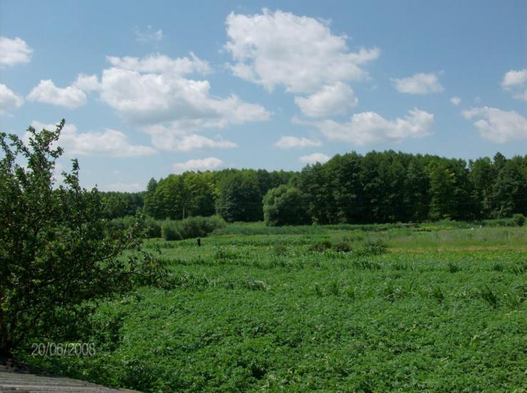 Рокитне з panoramio.com - Ракитное