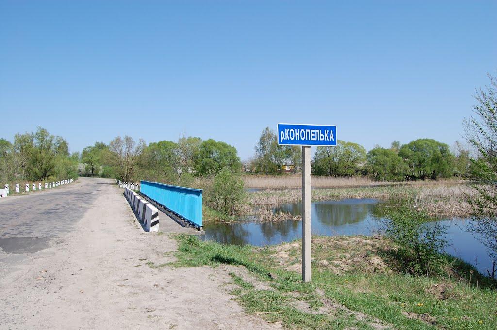 Носачевичі з panoramio.com - Носачевичі