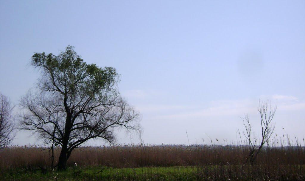 Кушугум з panoramio.com - Кушугум