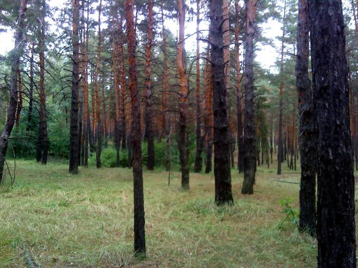 Ямпіль з panoramio.com - Ямпіль