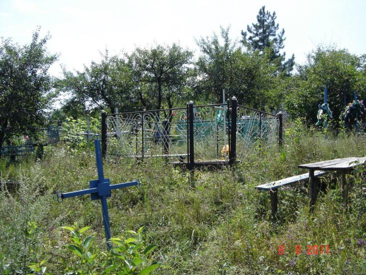 Дібрівка з panoramio.com - Дібрівка