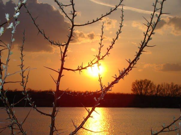 Біляївка з panoramio.com - Беляевка