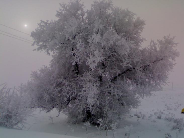Гудевичеве з panoramio.com - Гудевичеве