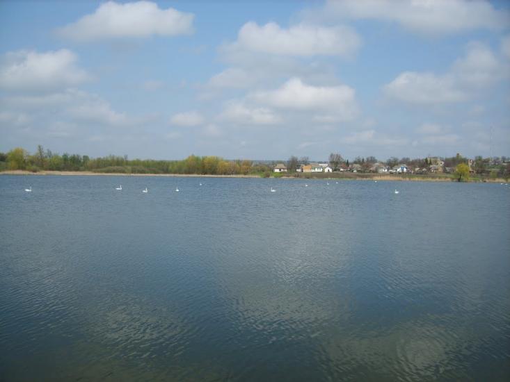 Вікнине з panoramio.com - Окнино