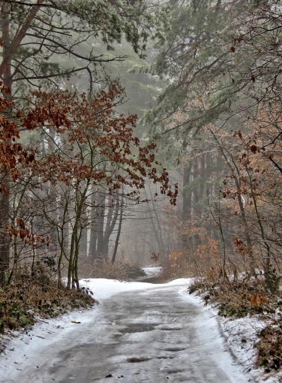 Підрясне з panoramio.com - Підрясне