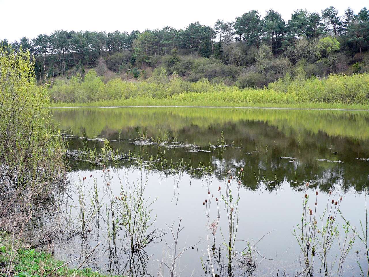 Раштівці - Раштовцы