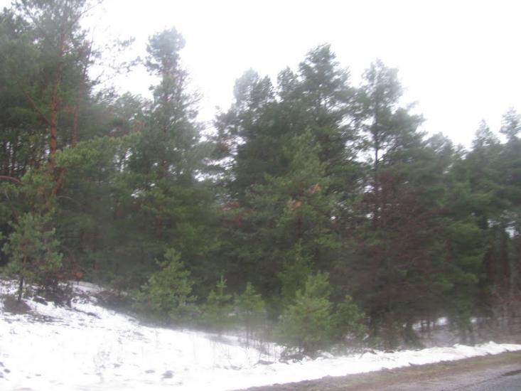 Кукарі з panoramio.com - Кукари