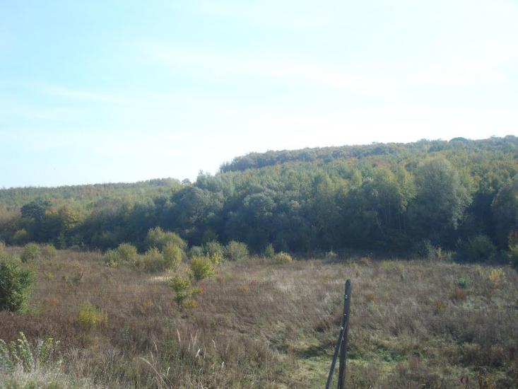 Дубівка з panoramio.com - Дубовка