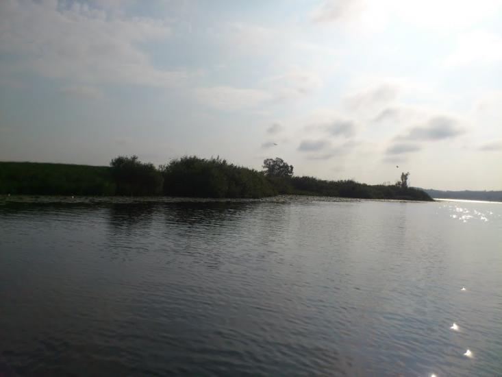 Любеч з panoramio.com - Любеч