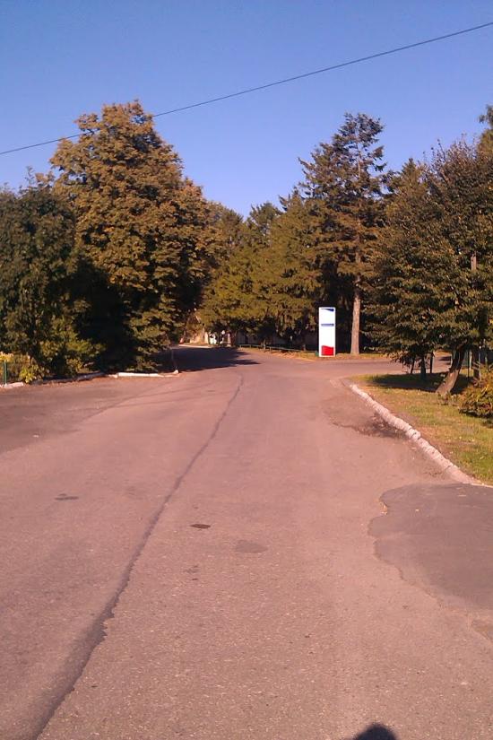 Чорників з panoramio.com - Чорників