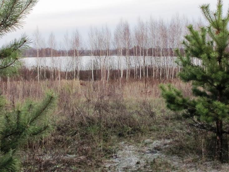Городня з panoramio.com - Городня