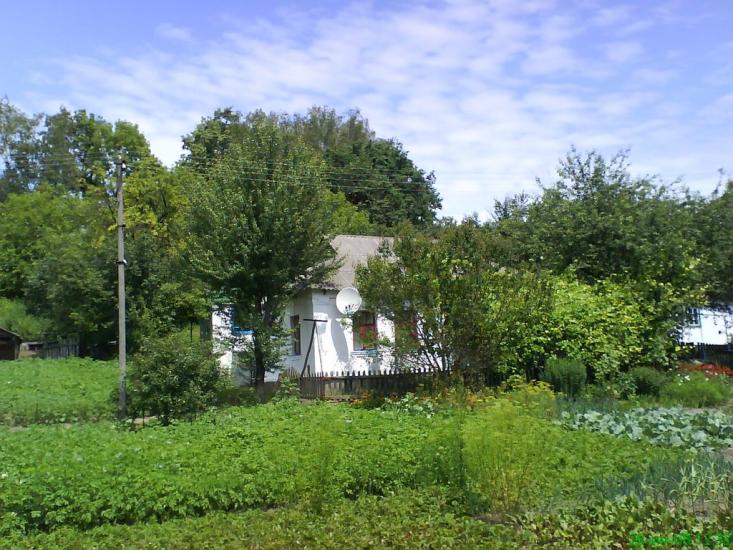 Чернин з panoramio.com - Чернин