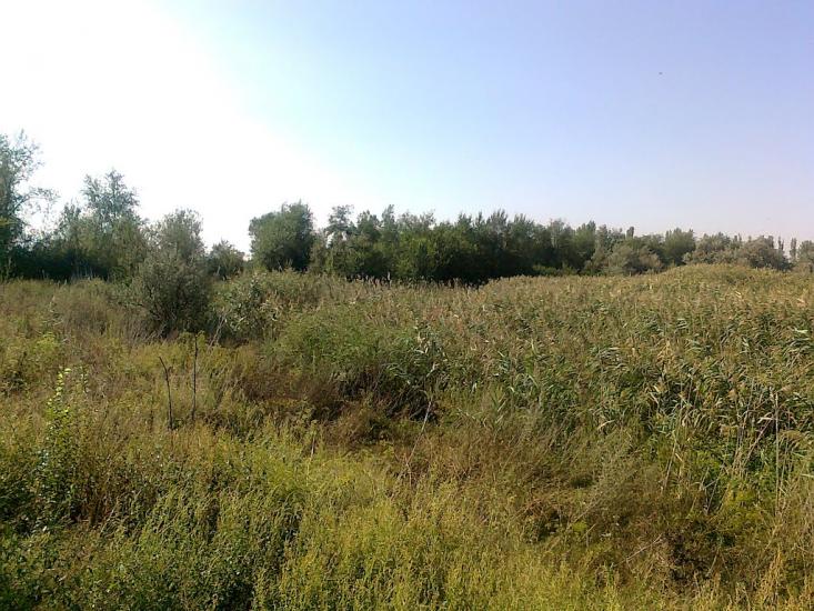 Кутузівка з panoramio.com - Кутузівка