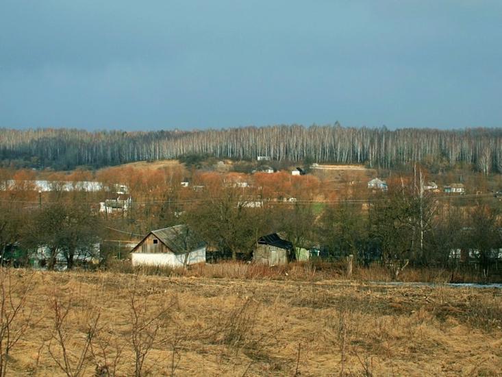 Барахти з panoramio.com - Barakhty