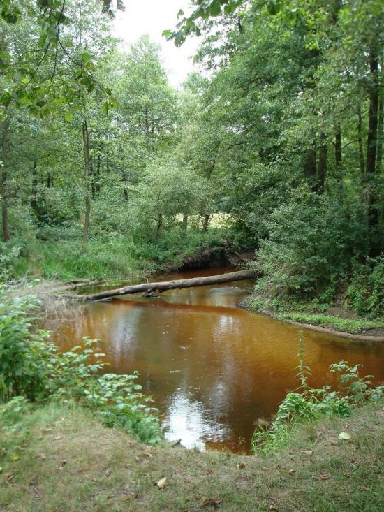 Хрипськ з panoramio.com - Хрипск
