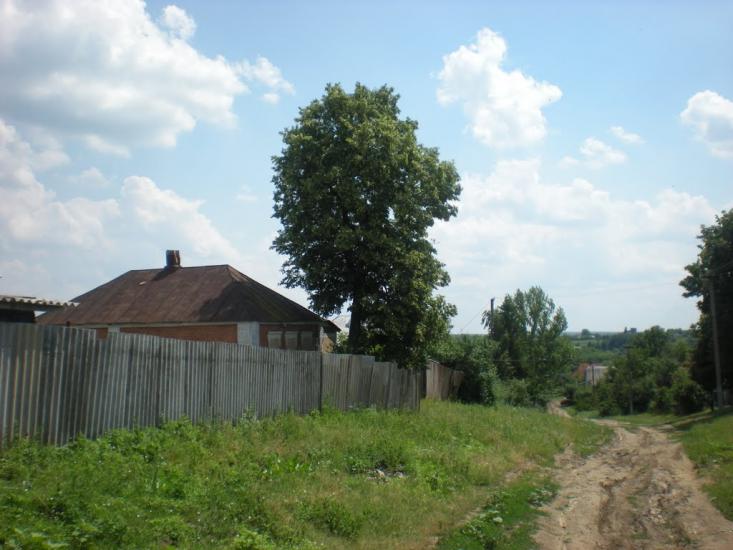 Грабовське з panoramio.com - Grabovske