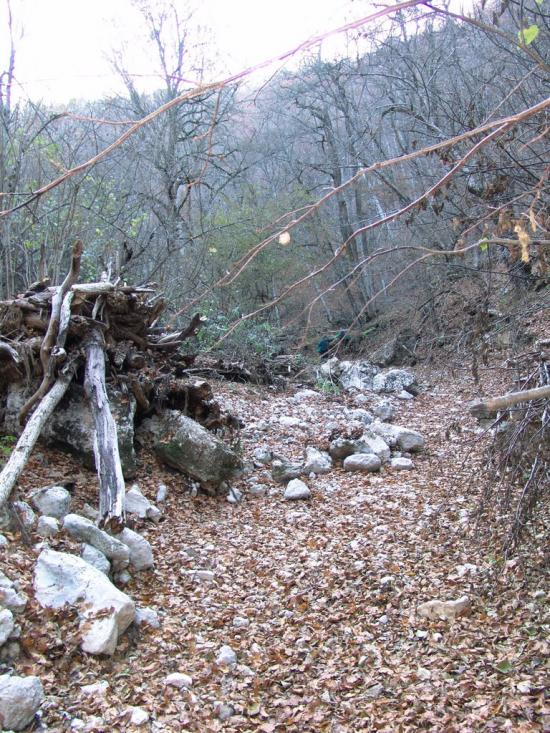 Овражки з panoramio.com - Овражки