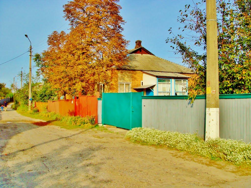 Димер з panoramio.com - Dymer