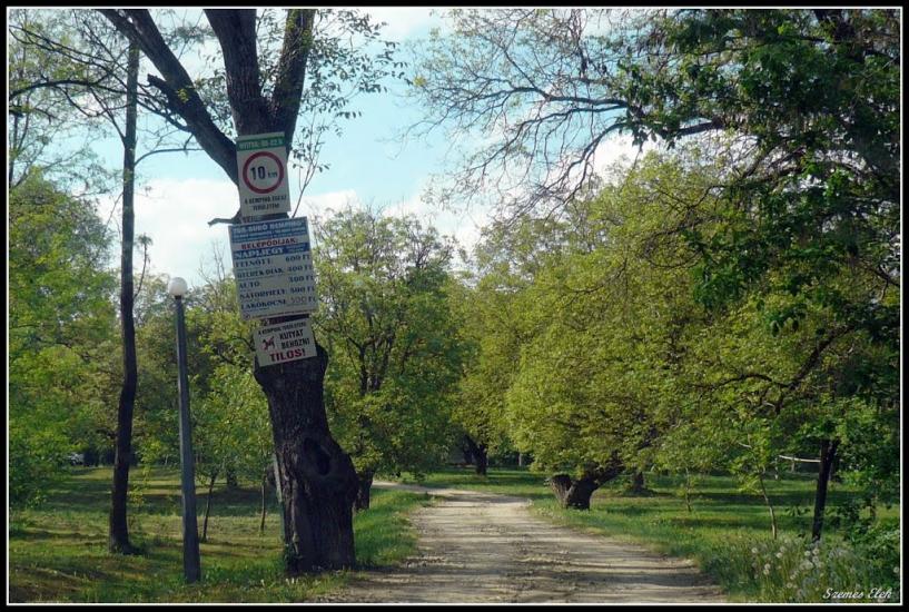 Галабор з panoramio.com - Galabor