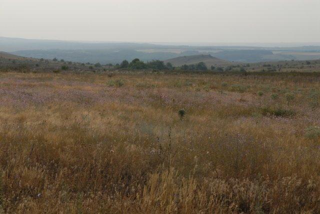 Артемівка з panoramio.com - Артемовка