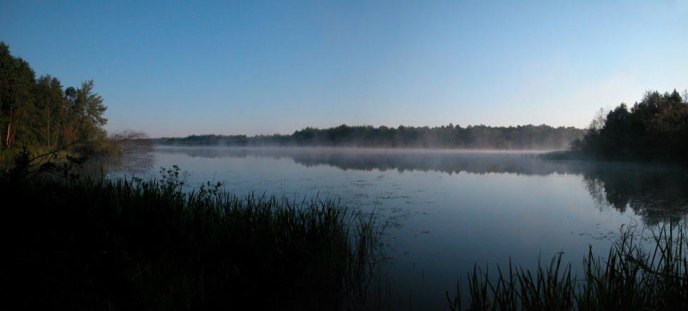 Коти з panoramio.com - Коты