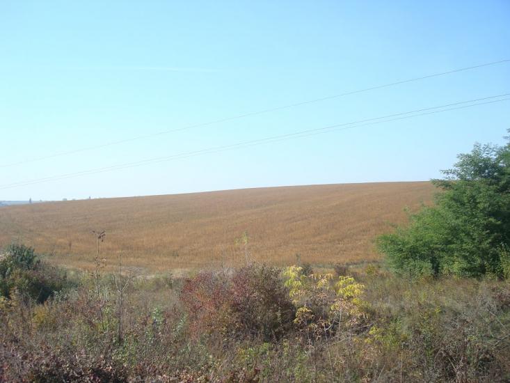 Дубівка з panoramio.com - Дубовка