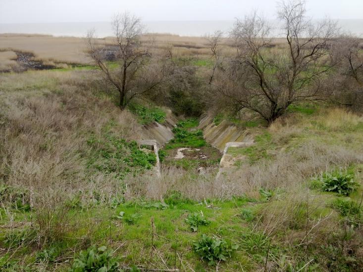 Лупареве з panoramio.com - Лупарево
