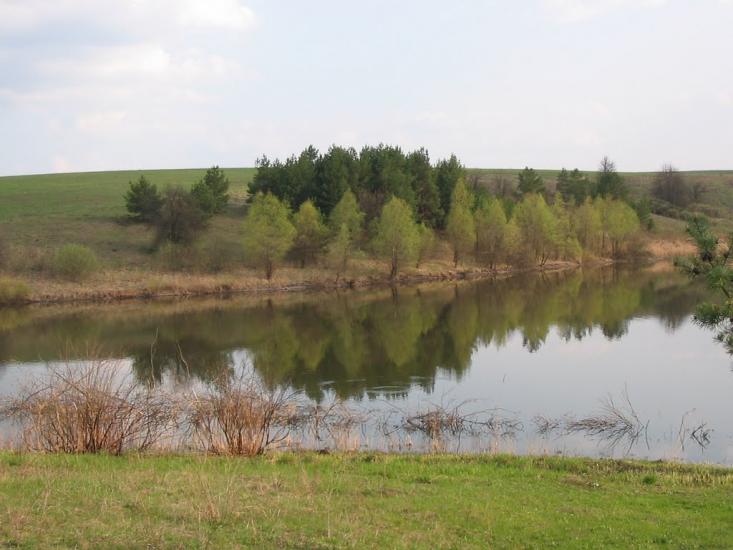 Шестакове з panoramio.com - Шестакове