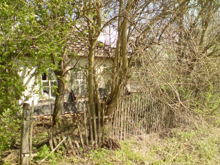 Кардашівка з panoramio.com - Кардашівка