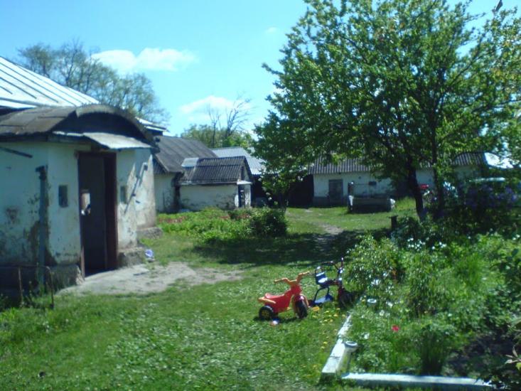 Криве Озеро з panoramio.com - Кривое Озеро
