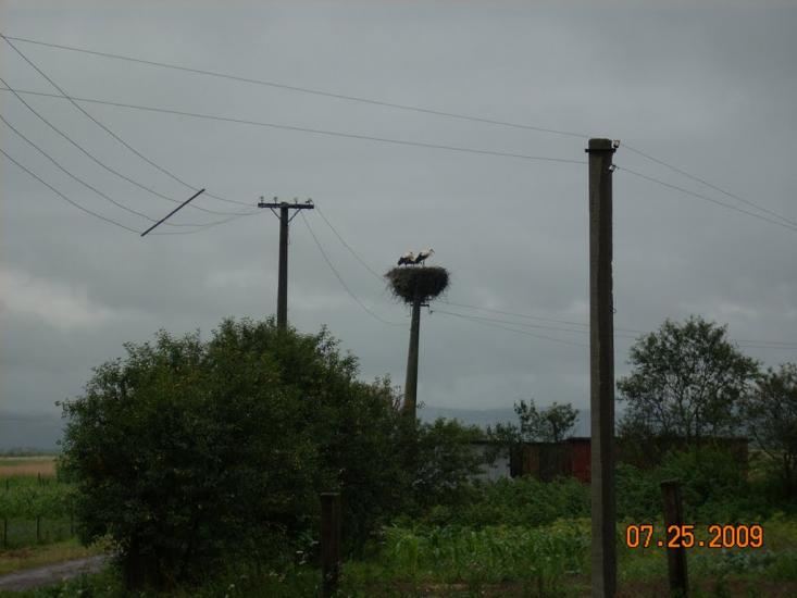 Конюхів з panoramio.com - Конюхов
