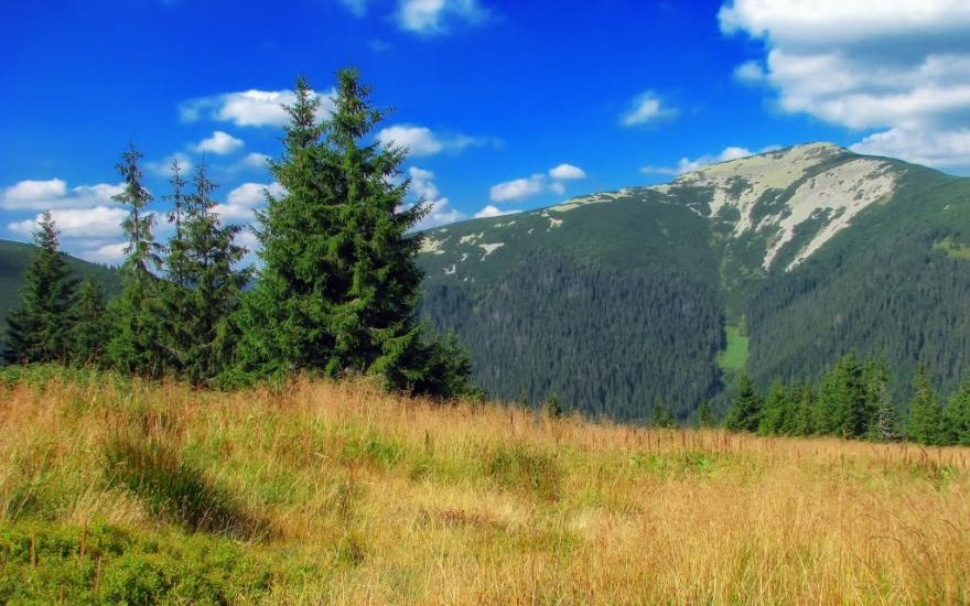 Осмолода з panoramio.com (ч.2) - Осмолода