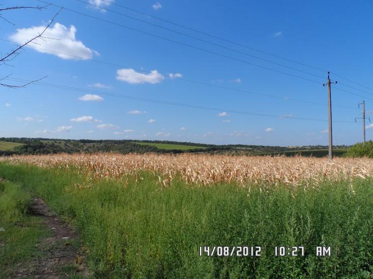 Успенка з panoramio.com - Успенка