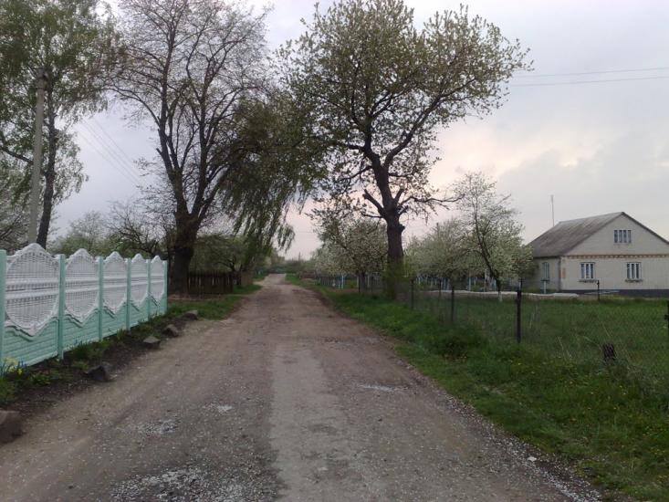 Борохів з panoramio.com - Борохів