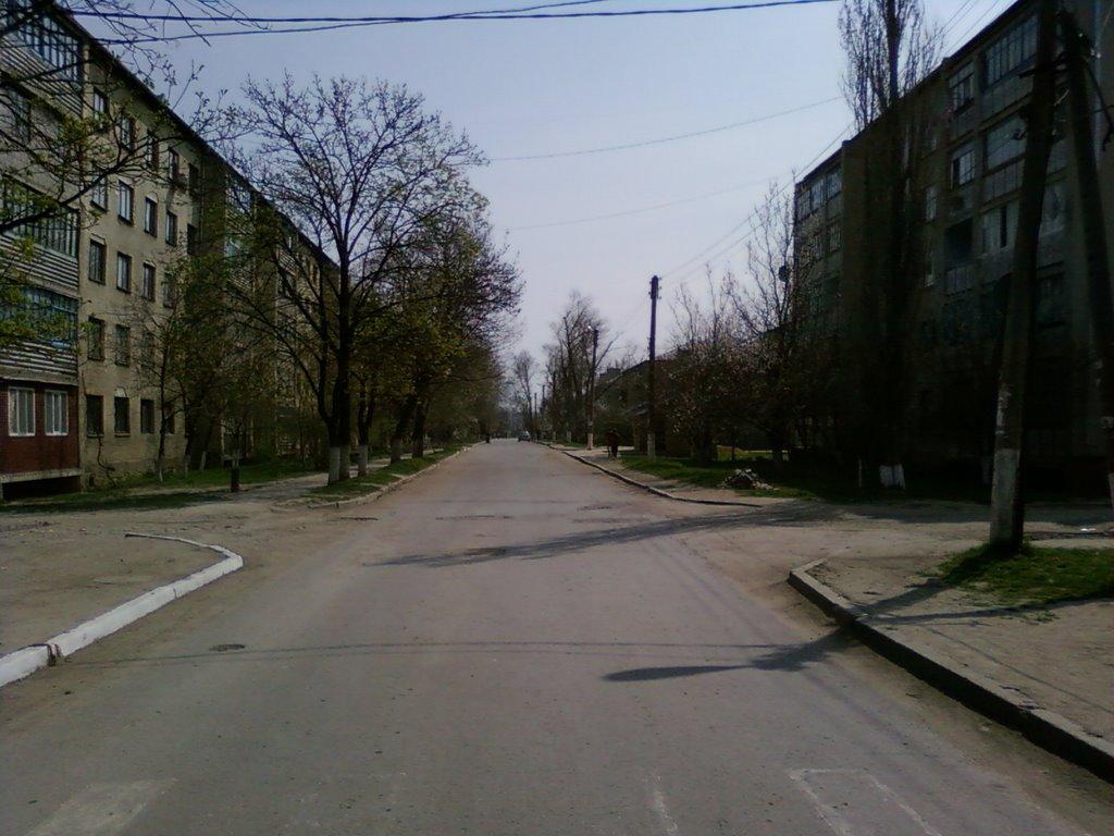 Серпневе з panoramio.com - Серпневое