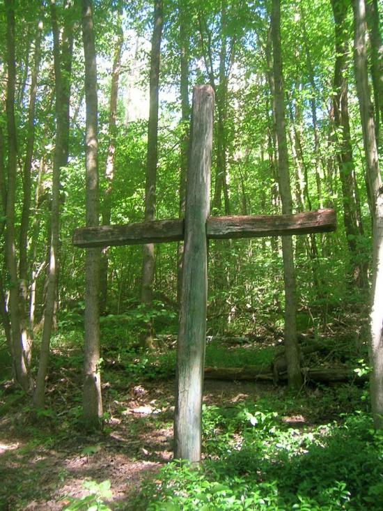 Северинівка з panoramio.com - Северинівка