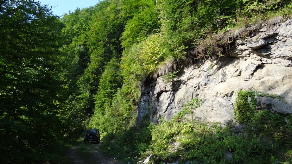 Луг з panoramio.com - Луг